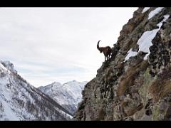 100 POUR CENT PUR HAUTES ALPES_000042
